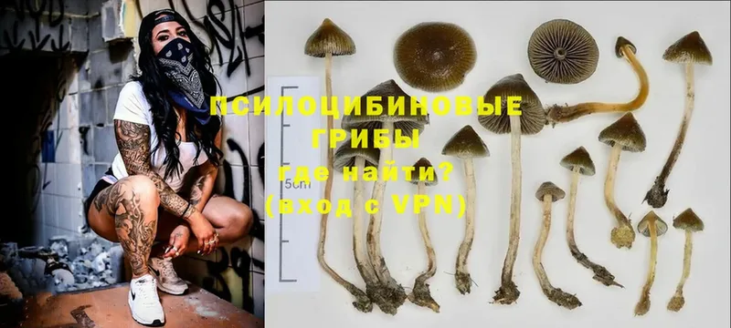 Где купить наркотики Лукоянов A-PVP  Гашиш  МАРИХУАНА  COCAIN 