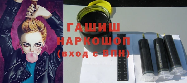 соль ск Няндома