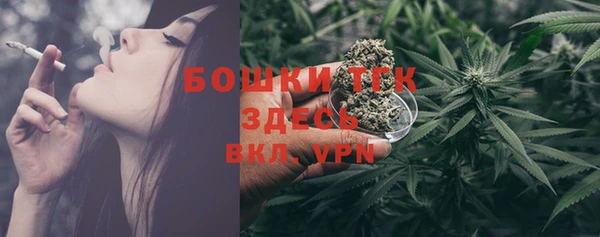 шишки Нягань