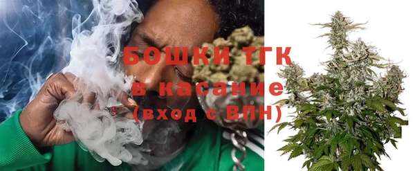 соль ск Няндома