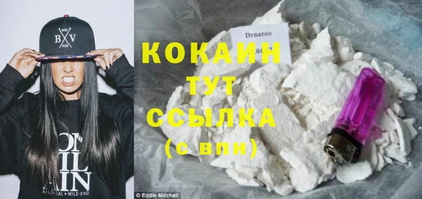 шишки Нягань