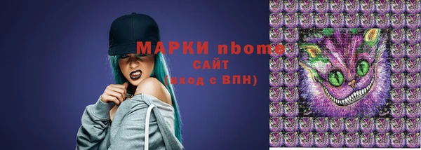 соль ск Няндома